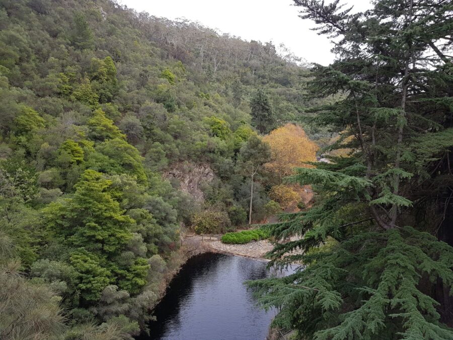 Mount Lofty Summit
